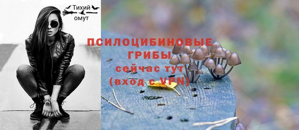 молекула духа Касимов
