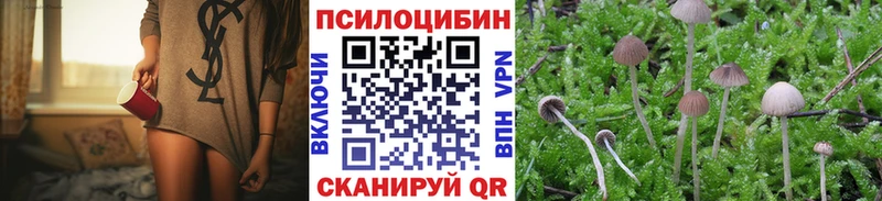 Галлюциногенные грибы мухоморы  где купить наркоту  мега онион  Певек 